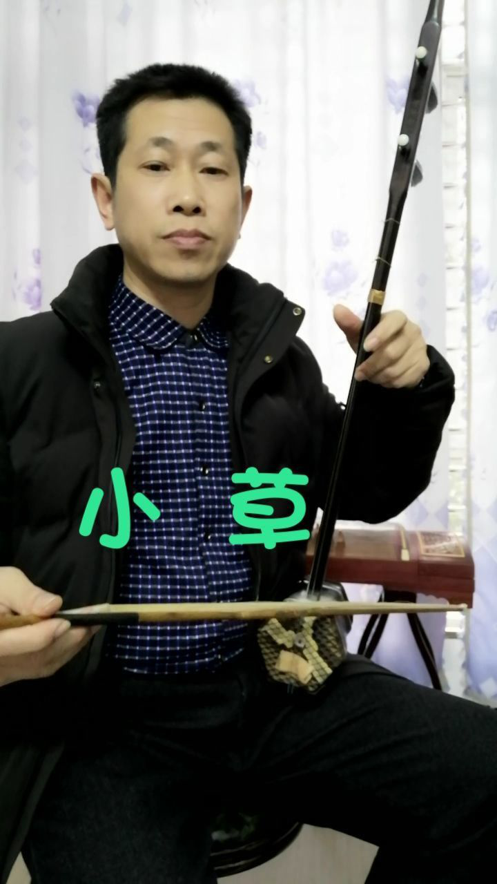 二胡独奏《小草》