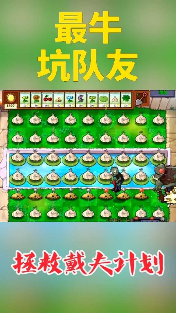 第一次见这么坑的队友.