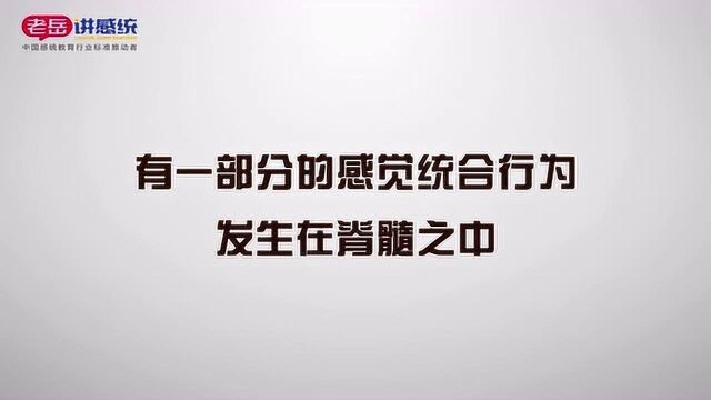 老岳讲感统——感统知识百科:一部分感觉统合行为发生在脊髓中