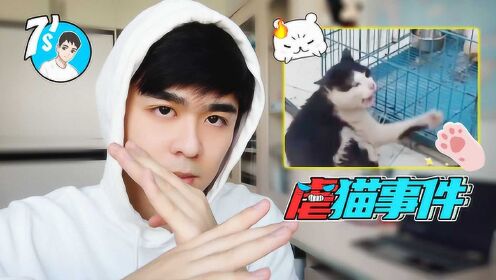 大学生虐猫拍视频，行为恶劣！武汉大学生对此发出倡议