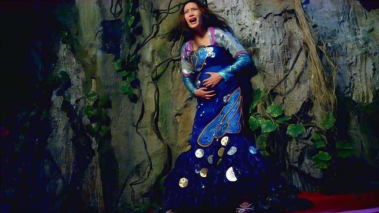 鲛人美女水中产子竟被刺客刺杀羊水都破了幸好小宠妃拼死相救