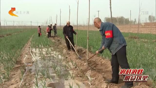 【决战决胜脱贫攻坚】河北:响鼓重锤 把精准扶贫好政策落实落细