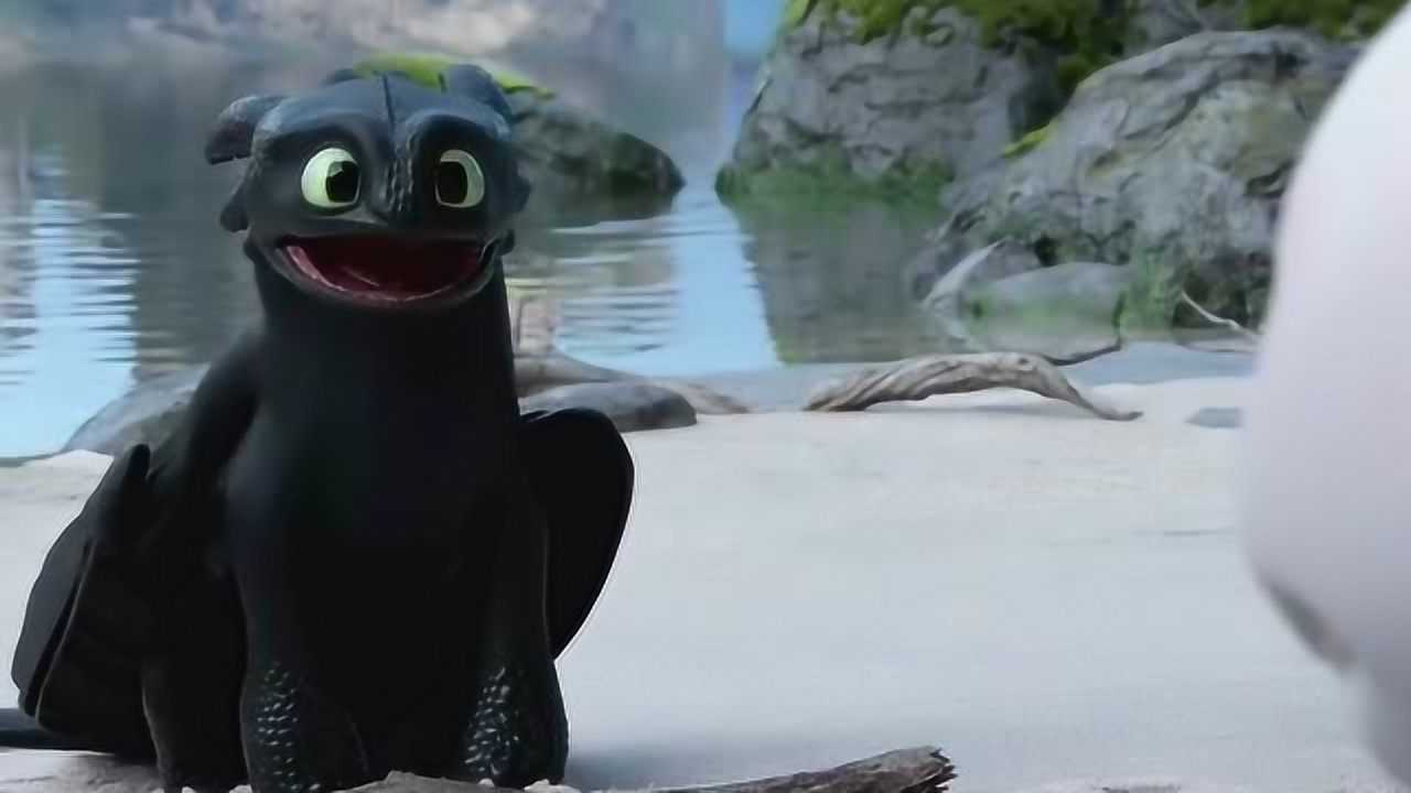 没牙仔刚刚谈恋爱的时候,样子好憨呀,像极了头一次约会的我们!