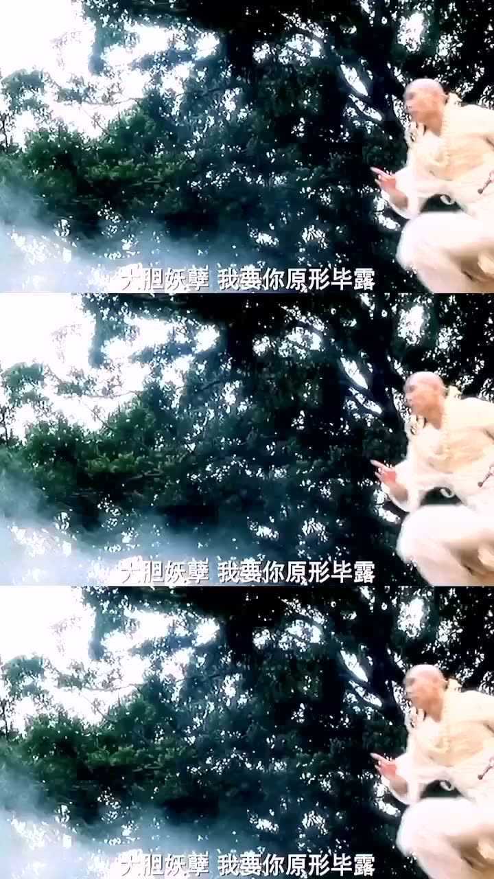 赵文卓纹身法海大威天龙