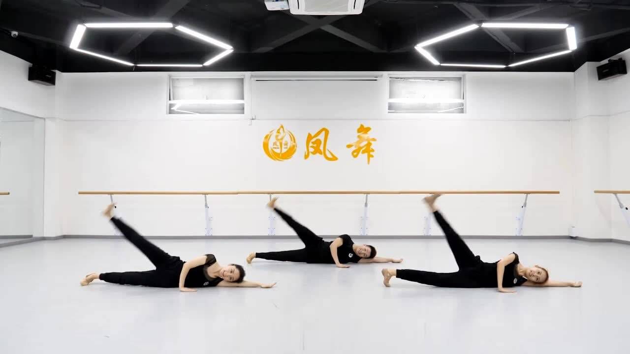 凤舞课堂2020版少儿基本功训练组合初级二级地面旁踢腿