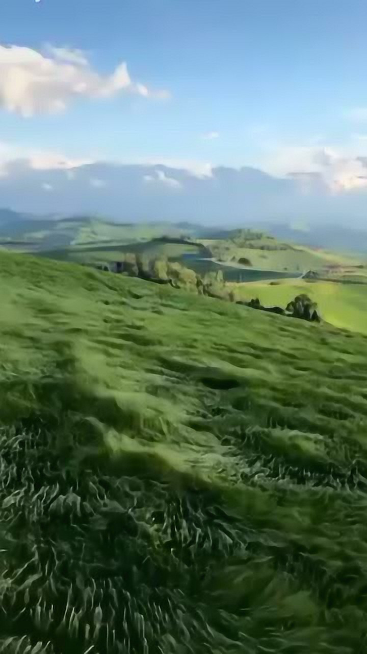 博洛尼亚的山巅