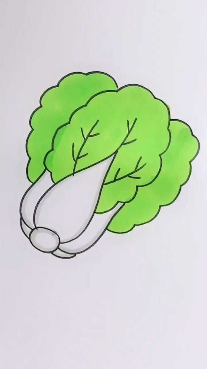 小白菜简笔画简单图片
