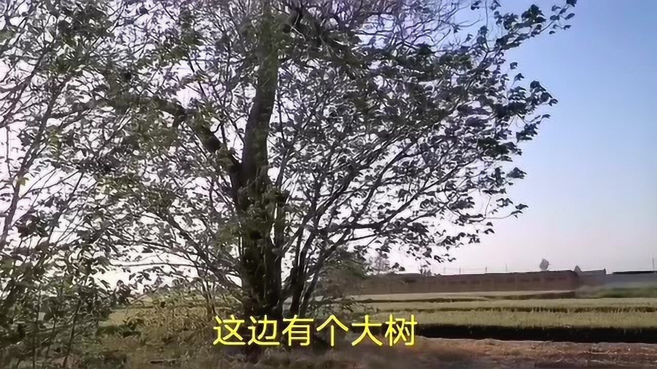 范雎墓图片