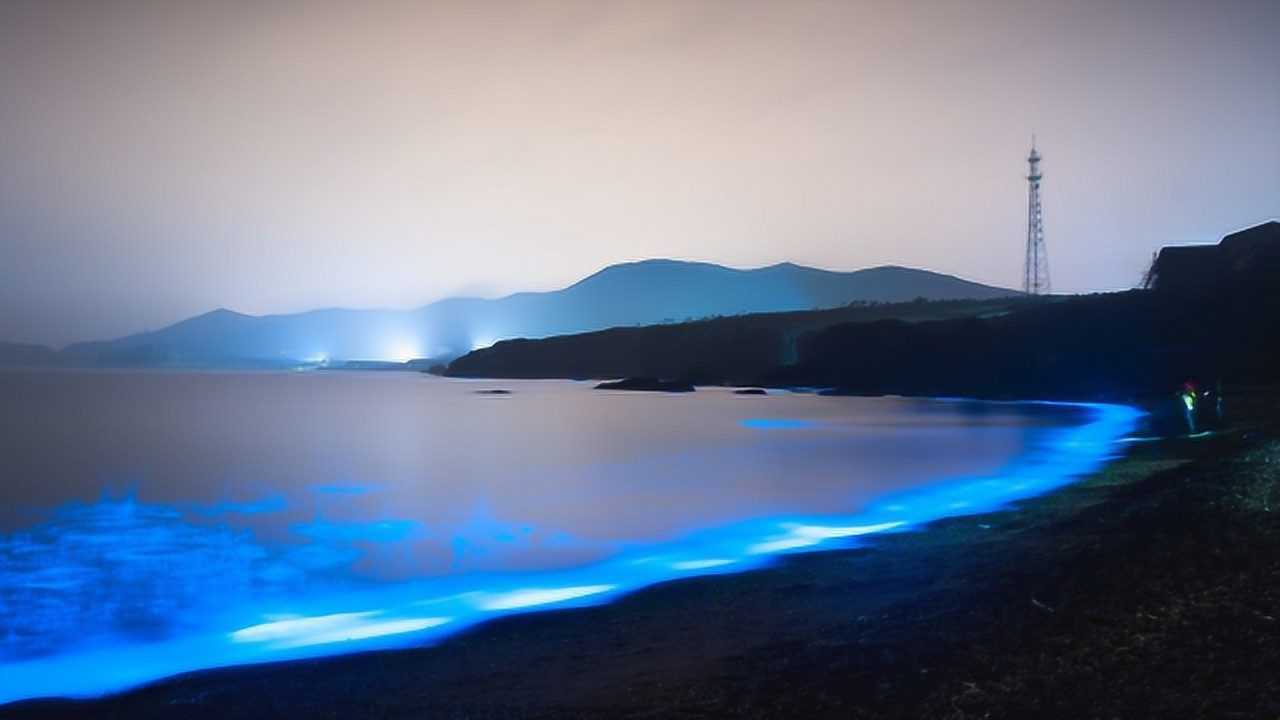 美轮美奂的"火星潮"浪漫海滩,蓝色荧光瞬间融化少女心