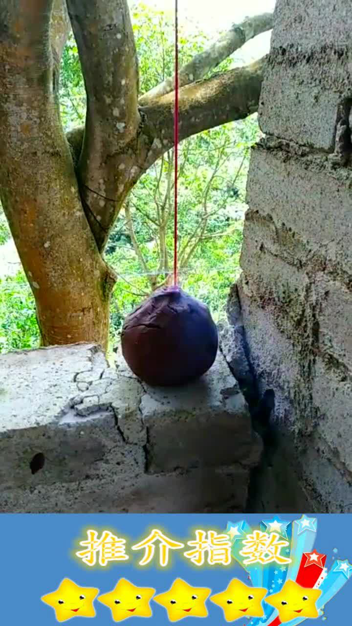 农村大哥太会玩了,一个小小的鞭炮而已,硬是玩出了地雷的感觉