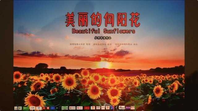 电影《我的音乐梦》之《美丽的向阳花》先导预告片