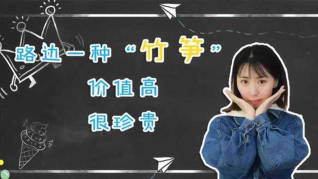 路边一种“竹笋”价值高,价格低,你们认识嘛