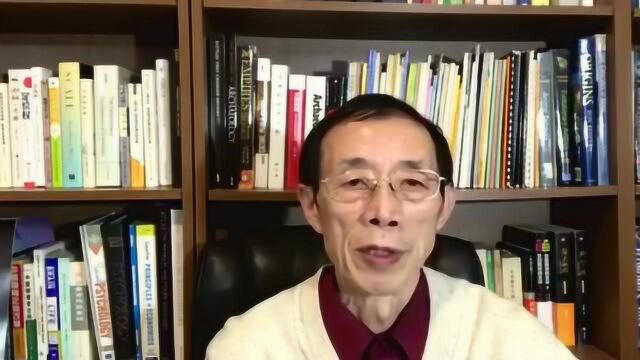 陈平:中国必须坚持公有制,谁来干预都不能改,这是原则问题!