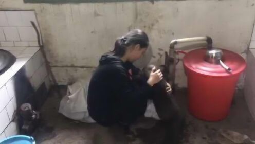 村民收留熊崽被送动物园，12岁女儿不舍落泪，民警：免费去看