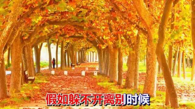 一首怀旧情歌《爱在深秋》