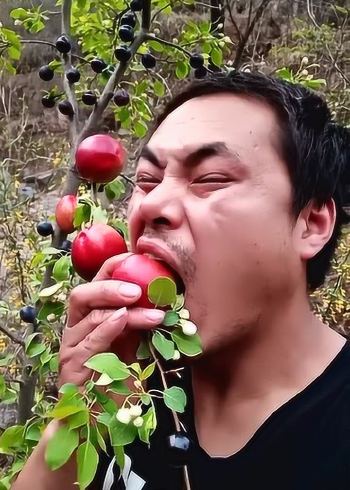 大叔吃李子,看这表情真酸啊