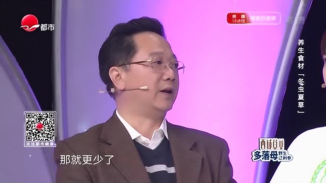 虫草每天入量多少合适呢?一起来听听虫草是怎么说的