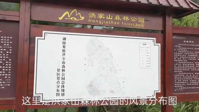 娄底娄星区双江洪家山森林公园,海拔875.9米,境内最高峰