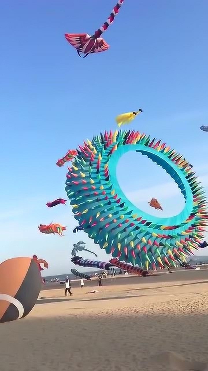 外国风筝节这场面太梦幻了