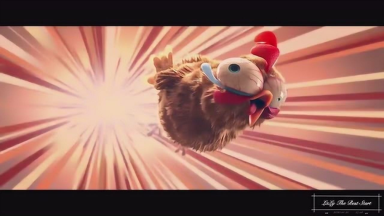 前方高能 母鸡们的团结 就是力量