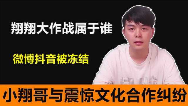 翔翔大作战究竟是谁的?与震惊文化纠纷背后利益分配问题?