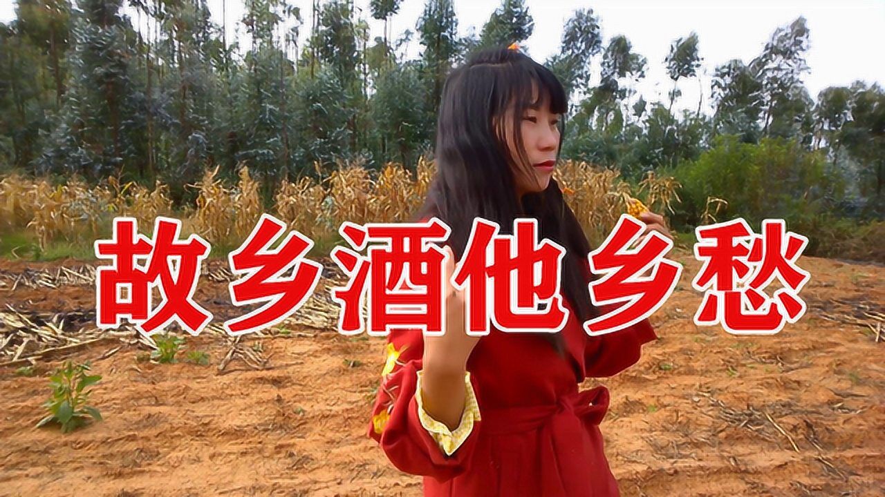 一首《故乡酒他乡愁》唱出思乡游子的思念之情,异乡人的浓浓情愁