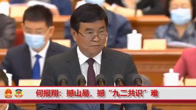 何报翔代表民革中央发言 正告民进党当局:撼山易 撼“九二共识”难!