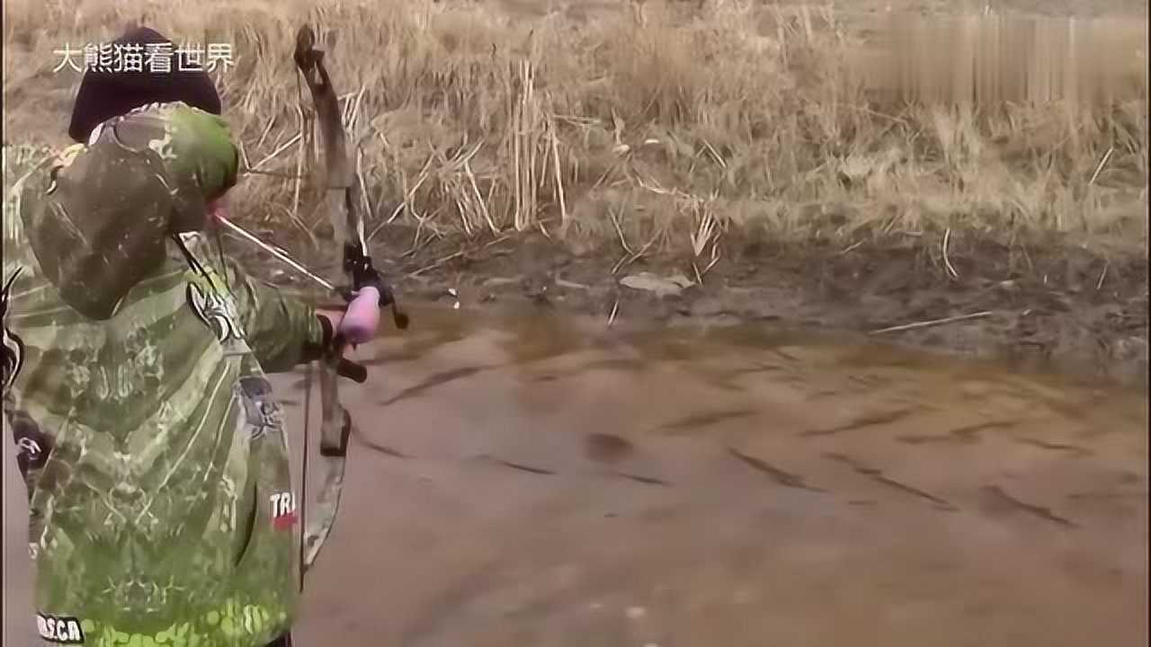 男子一箭狠狠射向水面,瞬间命中一条大家伙,让人大开眼界腾讯视频