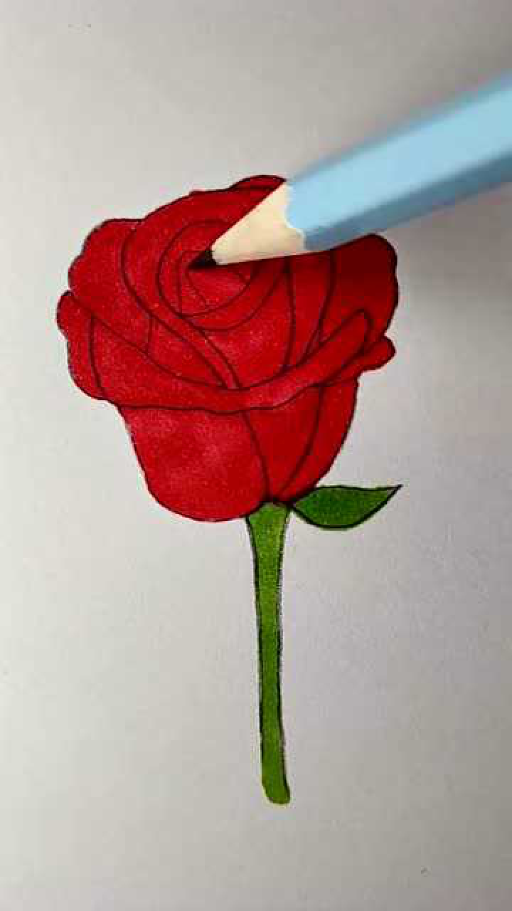 玫瑰怎么画 腾讯网