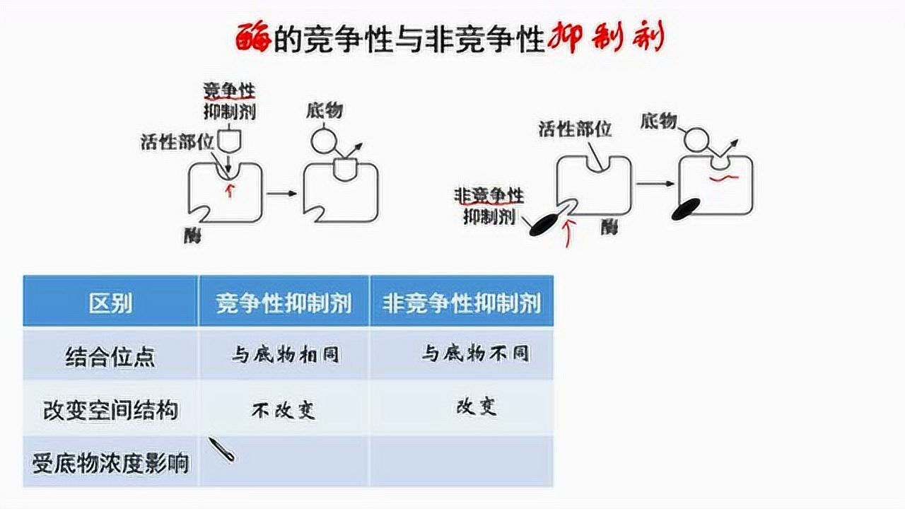 酶的竞争性与非竞争性抑制剂，高中生物微课 高清1080p在线观看平台 腾讯视频