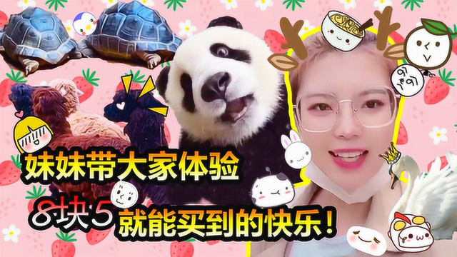 菜小鸟vlog:今天不打游戏!妹妹带大家体验8块5就能买到的快乐!