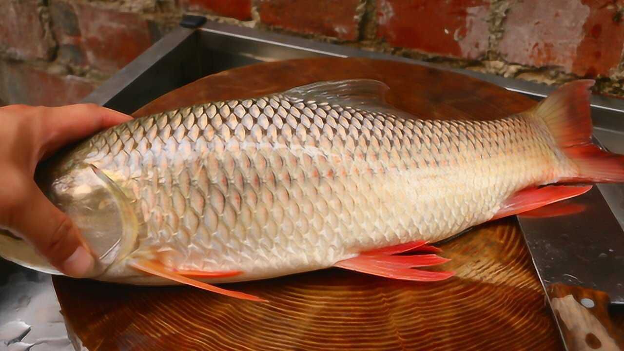 18元买一条土鲮鱼,做一道广西生鱼片,吃不出一点鱼腥味