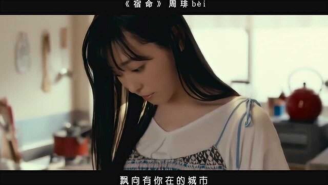 【音乐】周琲《宿命》凿开洞 我爱上了隔壁的女杀手