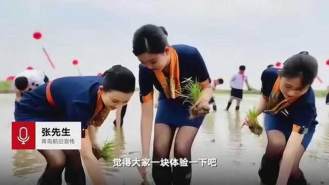 青岛航空回应空乘穿制服下地插秧:临时设置的体验环节