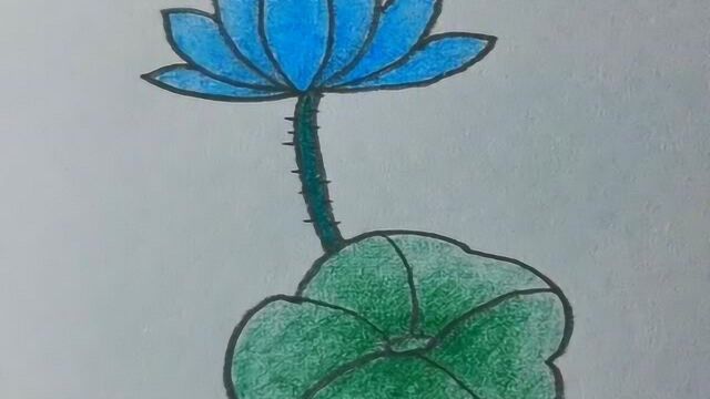一分钟慢速简笔画视频-清新美丽的蓝莲花!