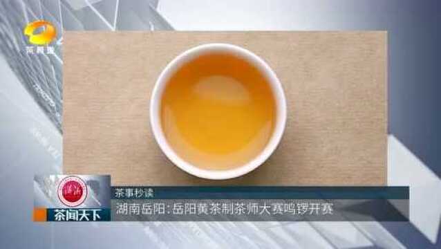 湖南岳阳:黄茶制茶师大赛鸣锣开赛茶闻天下