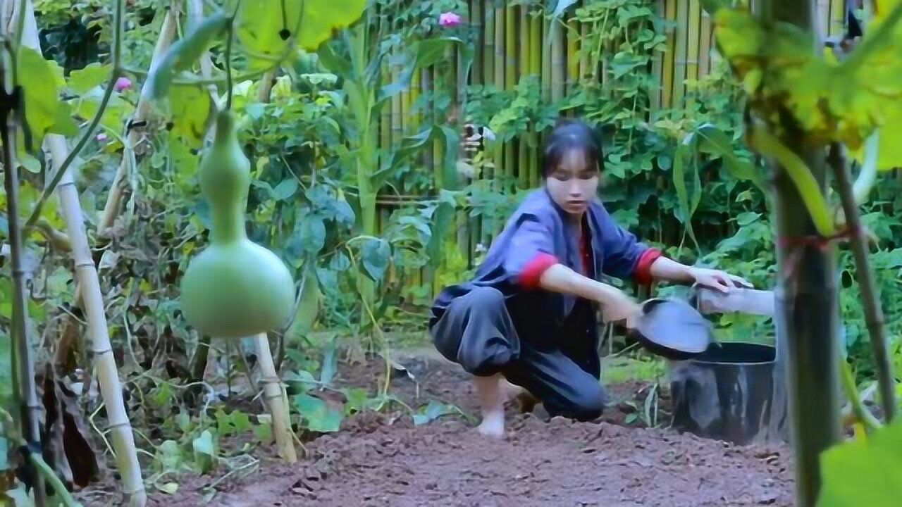 李子柒在泥巴地里干活赤脚踩在里面毫不在意不愧是最受欢迎美食主播
