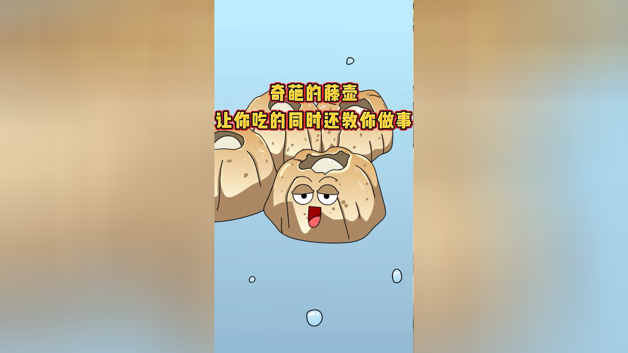 奇葩的藤壶让你吃的同时还教你做事