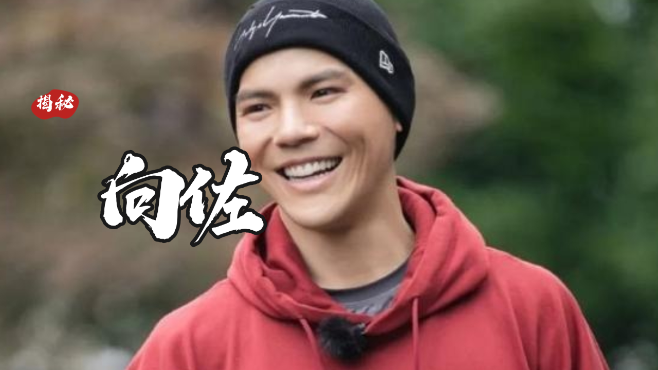 豪横情史向佐,35岁拥有70岁的肾,七个前女友个个不是省油灯