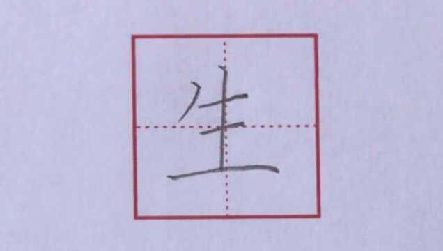 硬笔楷书——小学语文基本字“生”