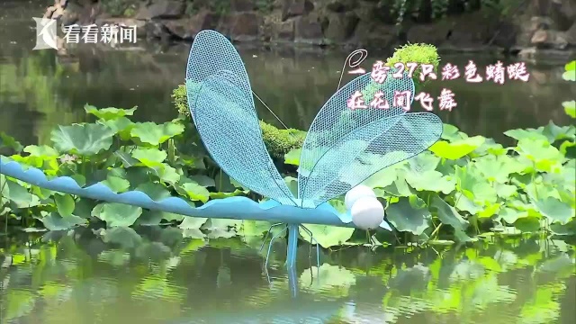 大波荷花美图来袭 23个品种首次亮相申城