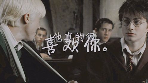 【Drarry/德哈】台词向丨虐预警丨他真的很喜欢你 像夏日聒噪的蝉鸣.