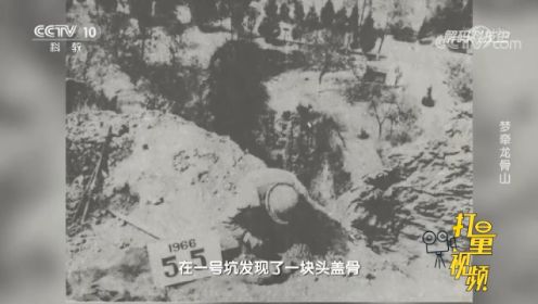 1966年，周口店再次发现北京猿人头骨化石和牙齿化石