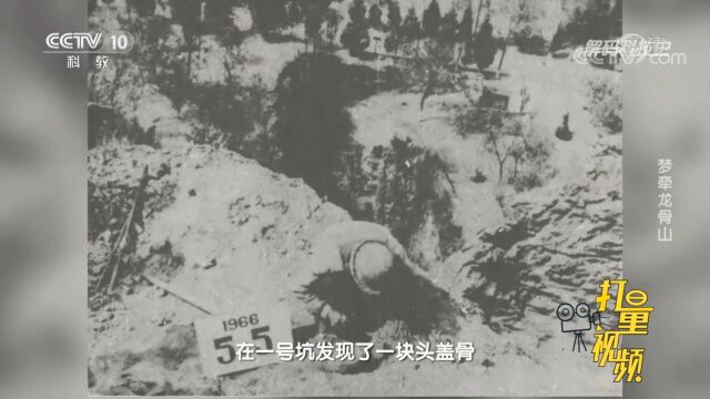 1966年,周口店再次发现北京猿人头骨化石和牙齿化石