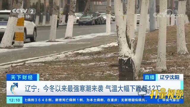 沈阳等地启动城市除雪三级响应