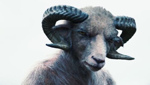 农场夫妇夺走山羊怪幼崽，惹来了杀身之祸，奇幻恐怖电影《羊崽》