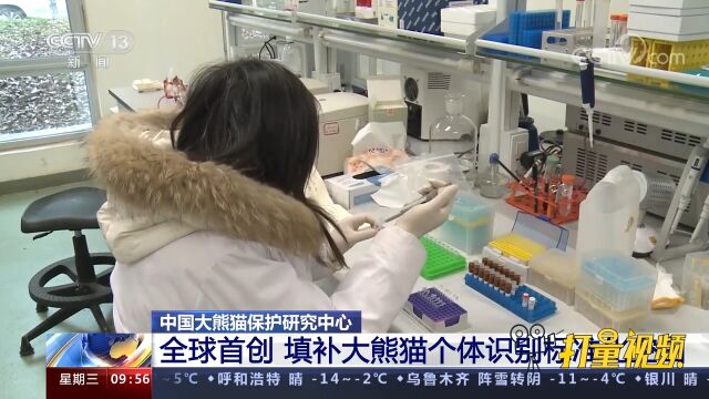 全球首创!大熊猫DNA个体识别和亲子鉴定标准化试剂盒填补空白