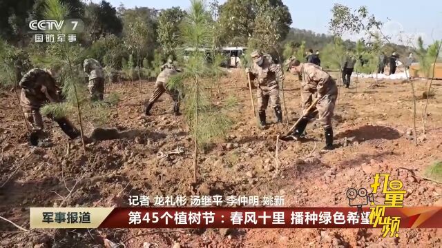 第45个植树节:春风十里,播种绿色希望