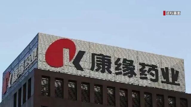 江苏康缘集团被强制执行80万