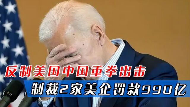 反制美国中国重拳出击,制裁2家美企罚款990亿,禁止进口我稀土